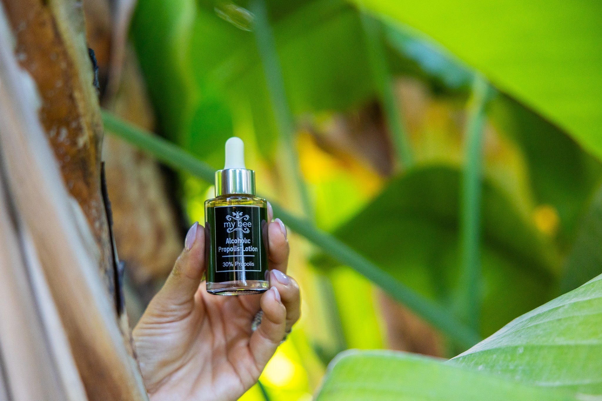 Tinctura de Propolis My Bee, taina vindecării din stup