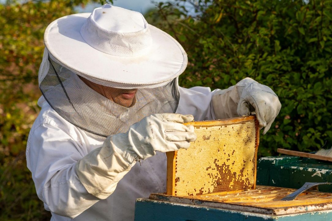 Când „natural” nu e doar un cuvânt, ci o promisiune ținută