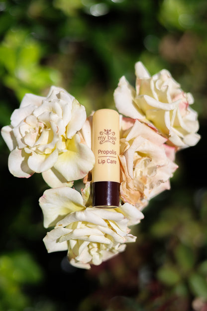 Balsam de buze
