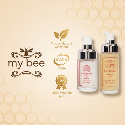 Certificări My Bee